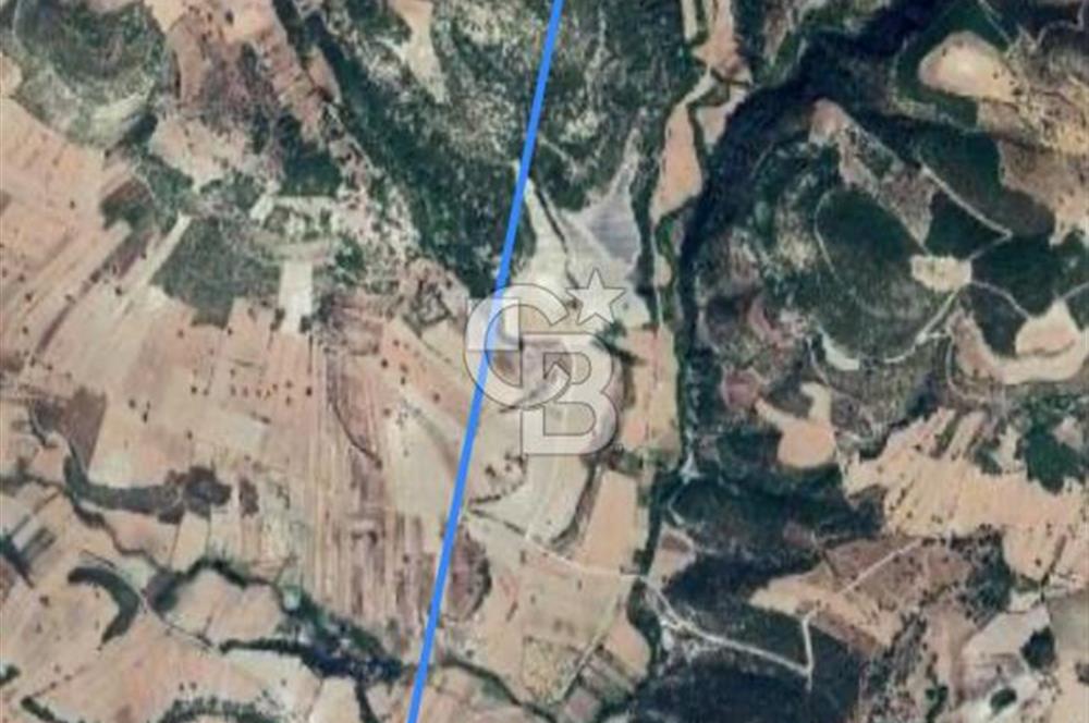 Manisa Demirci Yolu Olan 10.642 M2 Yatırımlık Satılık Tarla