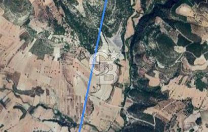 Manisa Demirci Yolu Olan 10.642 M2 Yatırımlık Satılık Tarla