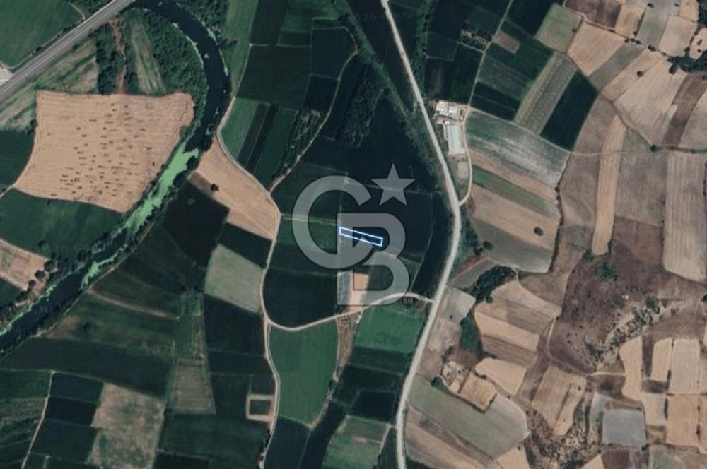 BALIKESİR SUSURLUK DEREKÖY’DE 1.055 m2 SATILIK TARLA