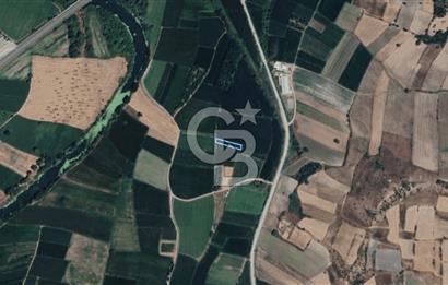 BALIKESİR SUSURLUK DEREKÖY’DE 1.055 m2 SATILIK TARLA