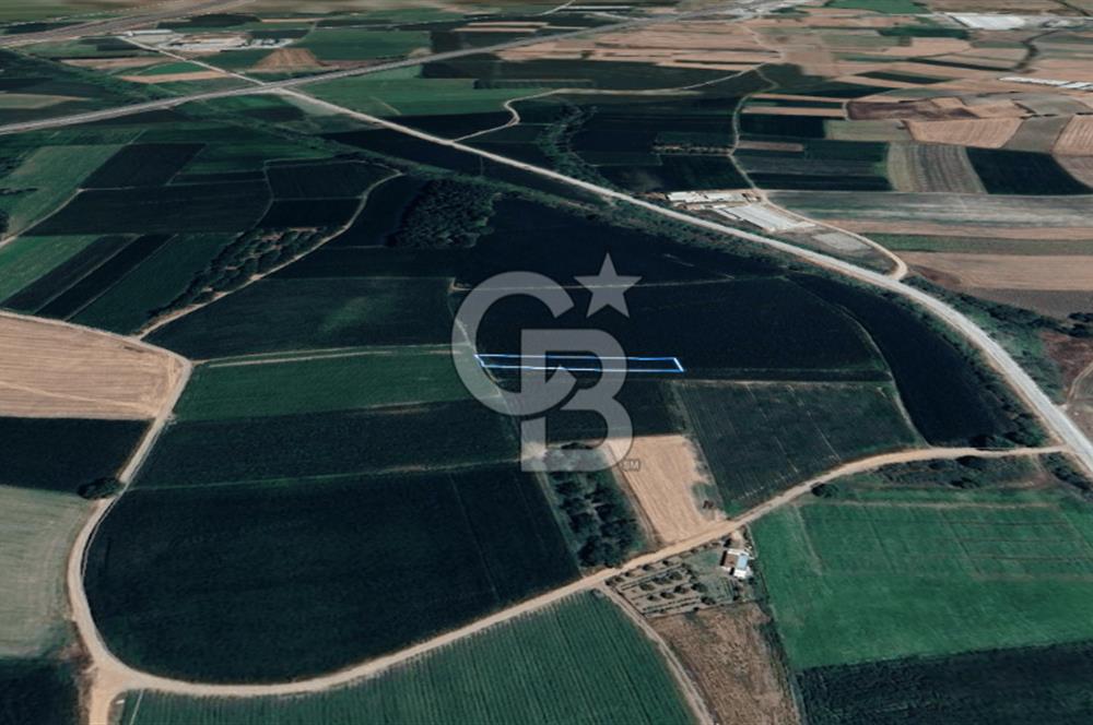 BALIKESİR SUSURLUK DEREKÖY’DE 1.055 m2 SATILIK TARLA