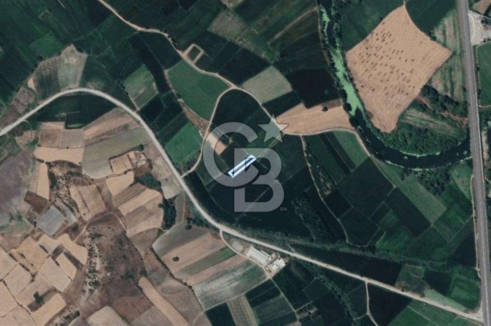 BALIKESİR SUSURLUK DEREKÖY’DE 1.055 m2 SATILIK TARLA