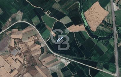 BALIKESİR SUSURLUK DEREKÖY’DE 1.055 m2 SATILIK TARLA