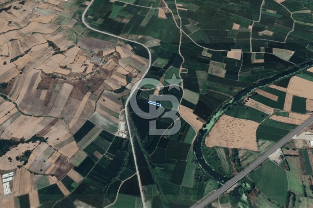 BALIKESİR SUSURLUK DEREKÖY’DE 1.055 m2 SATILIK TARLA