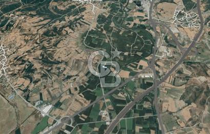 BALIKESİR SUSURLUK DEREKÖY’DE 1.055 m2 SATILIK TARLA
