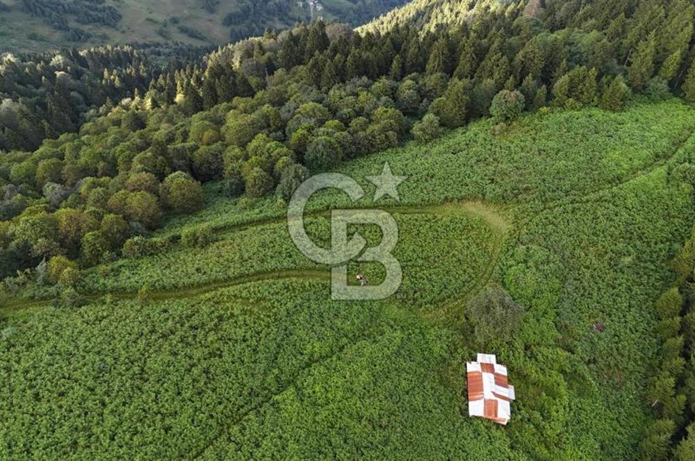 CB NET GAYRİMENKUL'DEN MAÇKA BAKIMLI MAH. SATILIK ARAZİ