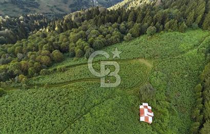 CB NET GAYRİMENKUL'DEN MAÇKA BAKIMLI MAH. SATILIK ARAZİ