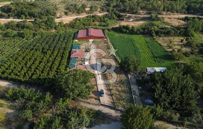 Çanakkale Merkez Saraycık Köyü Satılık 4.781 M² Arazi!