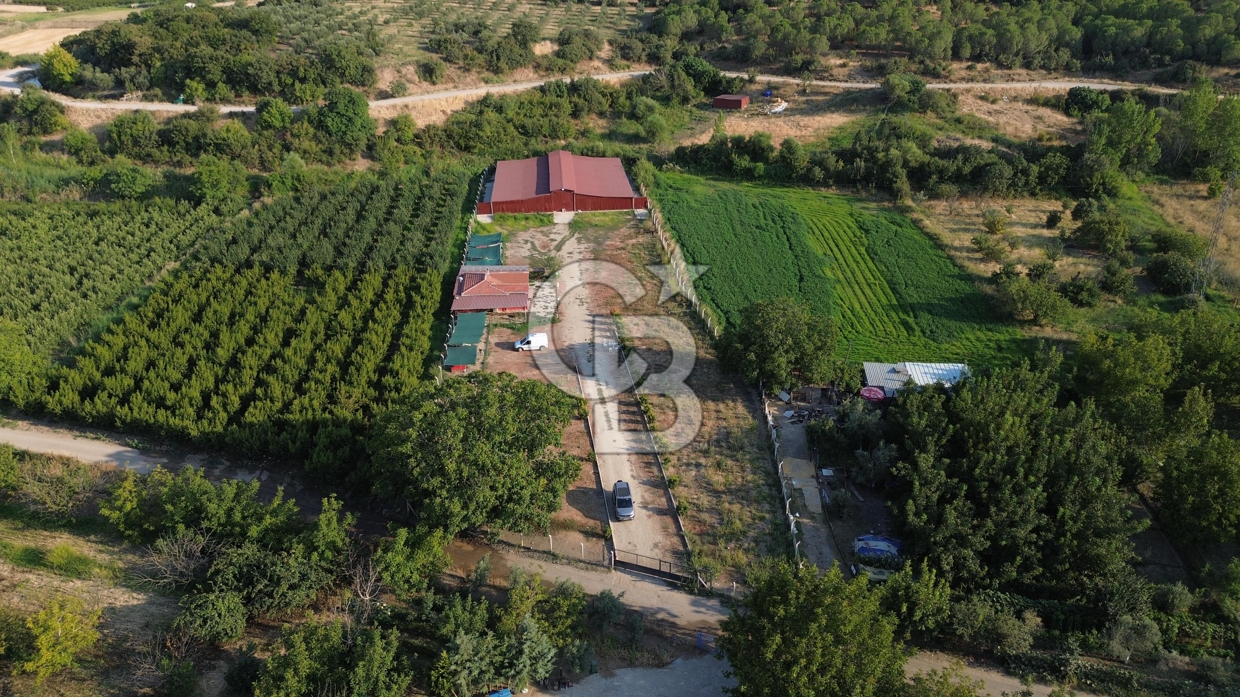 Çanakkale Merkez Saraycık Köyü Satılık 4.781 M² Arazi!