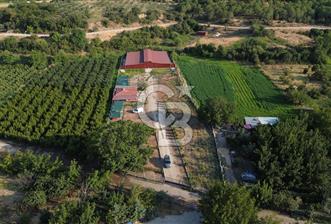 Çanakkale Merkez Saraycık Köyü Satılık 4.781 M² Arazi! - 1 - 368237