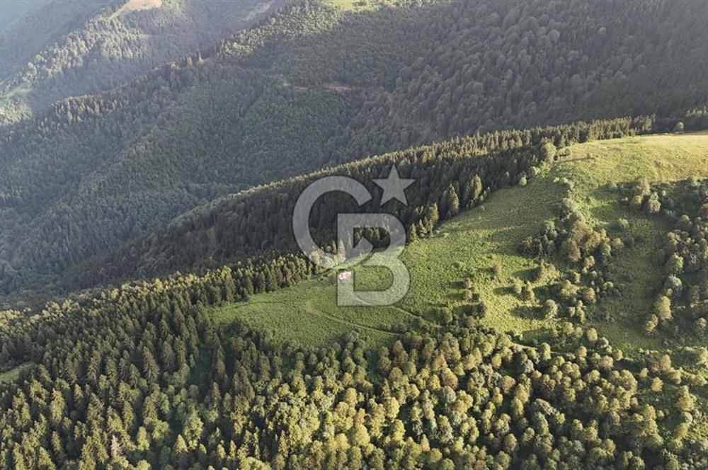 CB NET GAYRİMENKUL'DEN MAÇKA BAKIMLI MAH. SATILIK ARAZİ