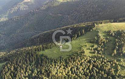 CB NET GAYRİMENKUL'DEN MAÇKA BAKIMLI MAH. SATILIK ARAZİ