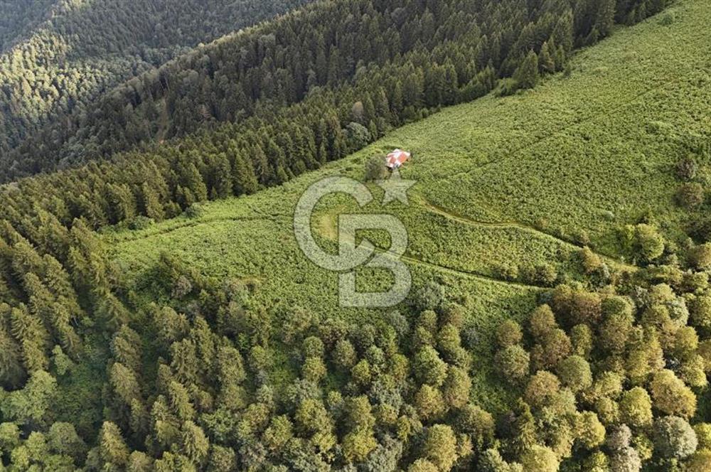CB NET GAYRİMENKUL'DEN MAÇKA BAKIMLI MAH. SATILIK ARAZİ
