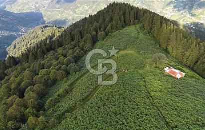 CB NET GAYRİMENKUL'DEN MAÇKA BAKIMLI MAH. SATILIK ARAZİ