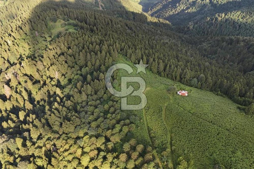 CB NET GAYRİMENKUL'DEN MAÇKA BAKIMLI MAH. SATILIK ARAZİ