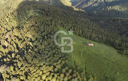 CB NET GAYRİMENKUL'DEN MAÇKA BAKIMLI MAH. SATILIK ARAZİ