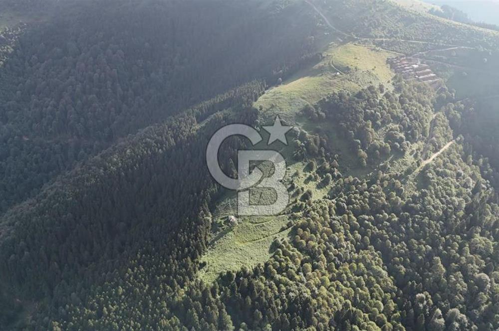CB NET GAYRİMENKUL'DEN MAÇKA BAKIMLI MAH. SATILIK ARAZİ