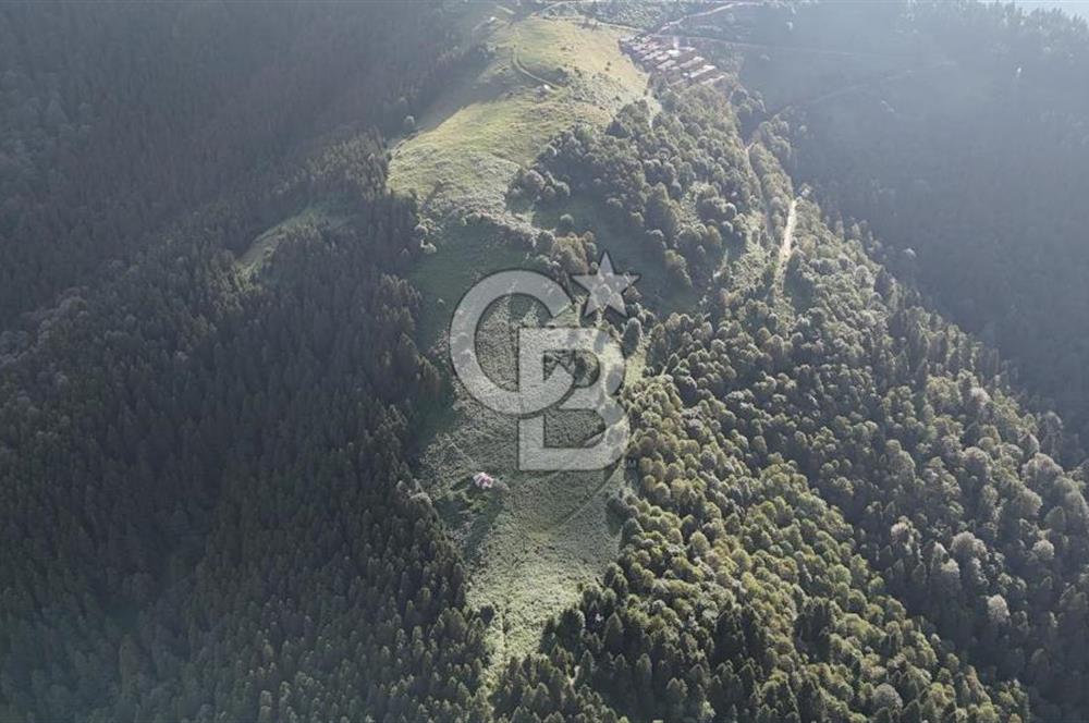CB NET GAYRİMENKUL'DEN MAÇKA BAKIMLI MAH. SATILIK ARAZİ