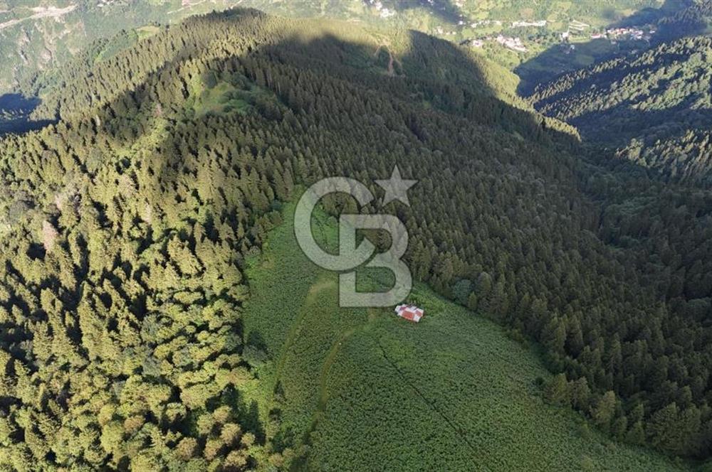 CB NET GAYRİMENKUL'DEN MAÇKA BAKIMLI MAH. SATILIK ARAZİ