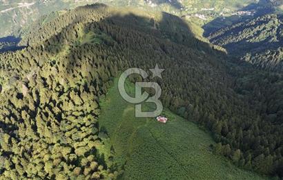 CB NET GAYRİMENKUL'DEN MAÇKA BAKIMLI MAH. SATILIK ARAZİ
