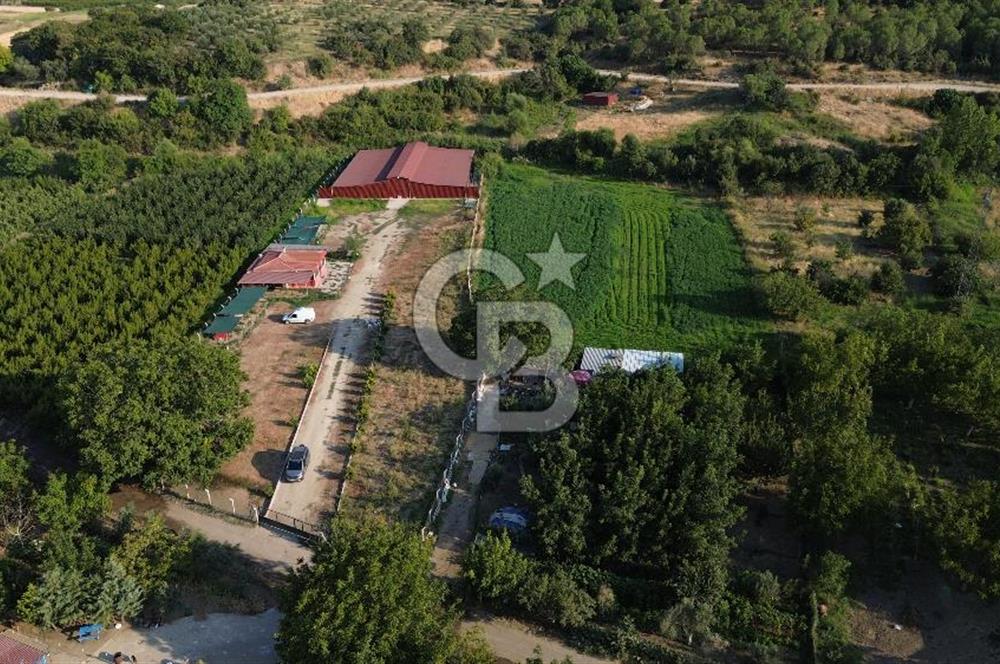 Çanakkale Merkez Saraycık Köyü Satılık 4.781 M² Arazi!