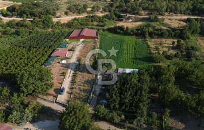 Çanakkale Merkez Saraycık Köyü Satılık 4.781 M² Arazi!
