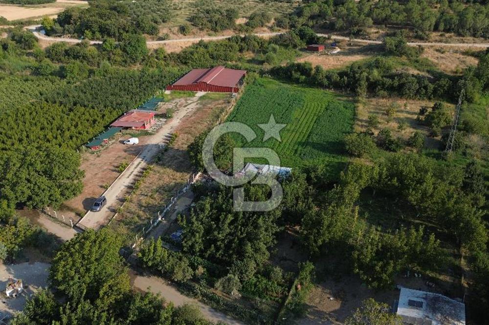 Çanakkale Merkez Saraycık Köyü Satılık 4.781 M² Arazi!