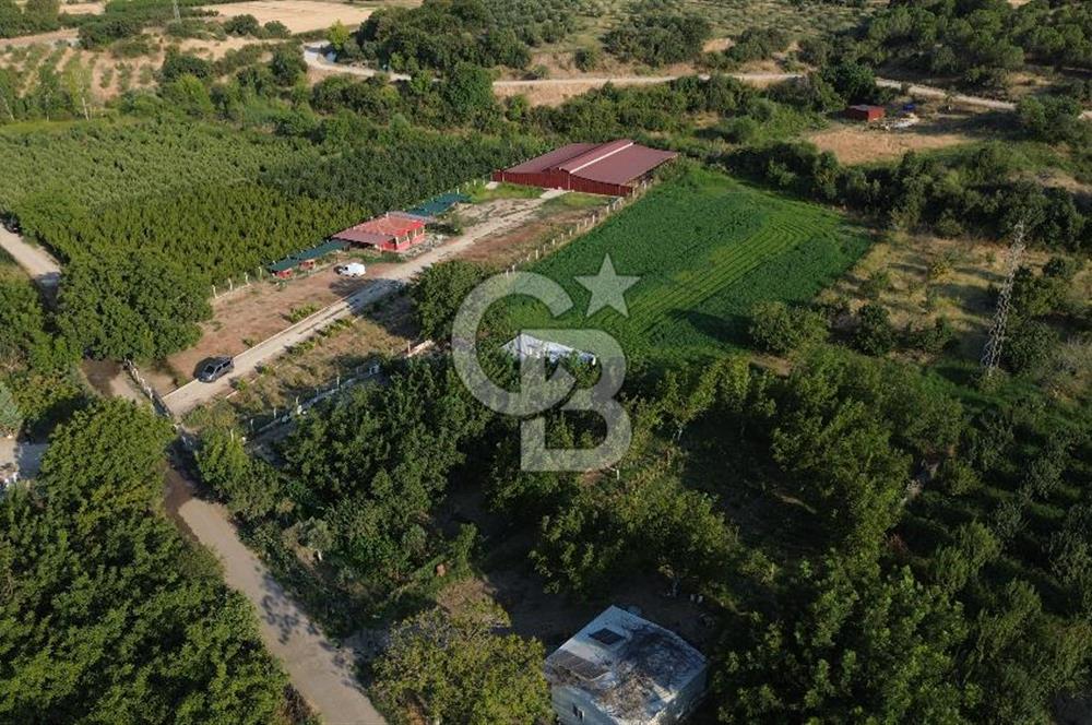 Çanakkale Merkez Saraycık Köyü Satılık 4.781 M² Arazi!