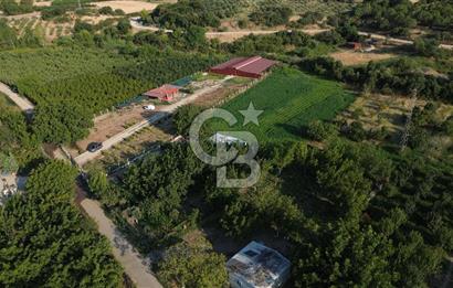 Çanakkale Merkez Saraycık Köyü Satılık 4.781 M² Arazi!