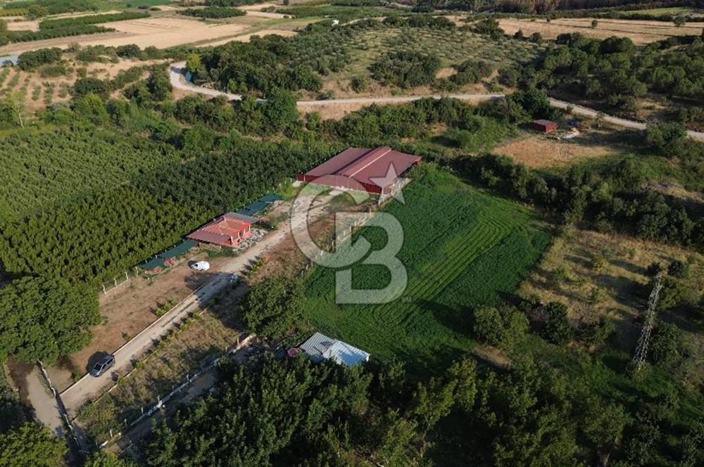 Çanakkale Merkez Saraycık Köyü Satılık 4.781 M² Arazi!