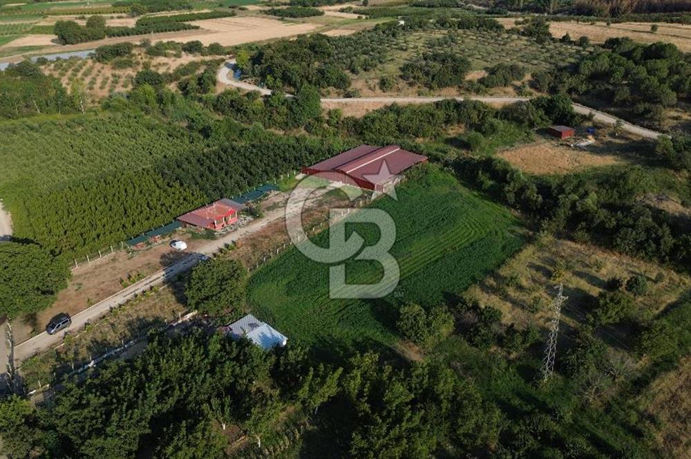 Çanakkale Merkez Saraycık Köyü Satılık 4.781 M² Arazi!