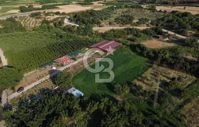 Çanakkale Merkez Saraycık Köyü Satılık 4.781 M² Arazi!
