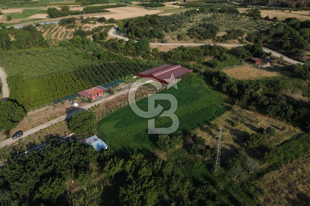 Çanakkale Merkez Saraycık Köyü Satılık 4.781 M² Arazi!