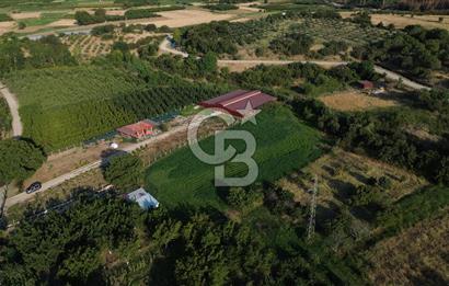 Çanakkale Merkez Saraycık Köyü Satılık 4.781 M² Arazi!