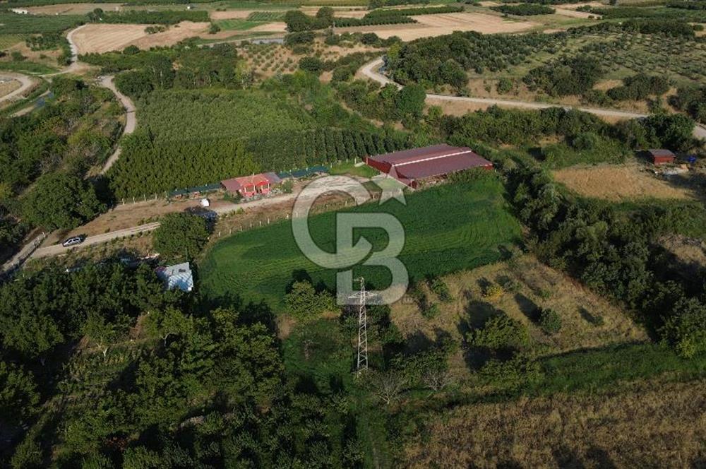 Çanakkale Merkez Saraycık Köyü Satılık 4.781 M² Arazi!
