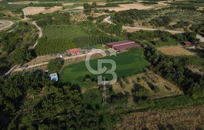 Çanakkale Merkez Saraycık Köyü Satılık 4.781 M² Arazi!