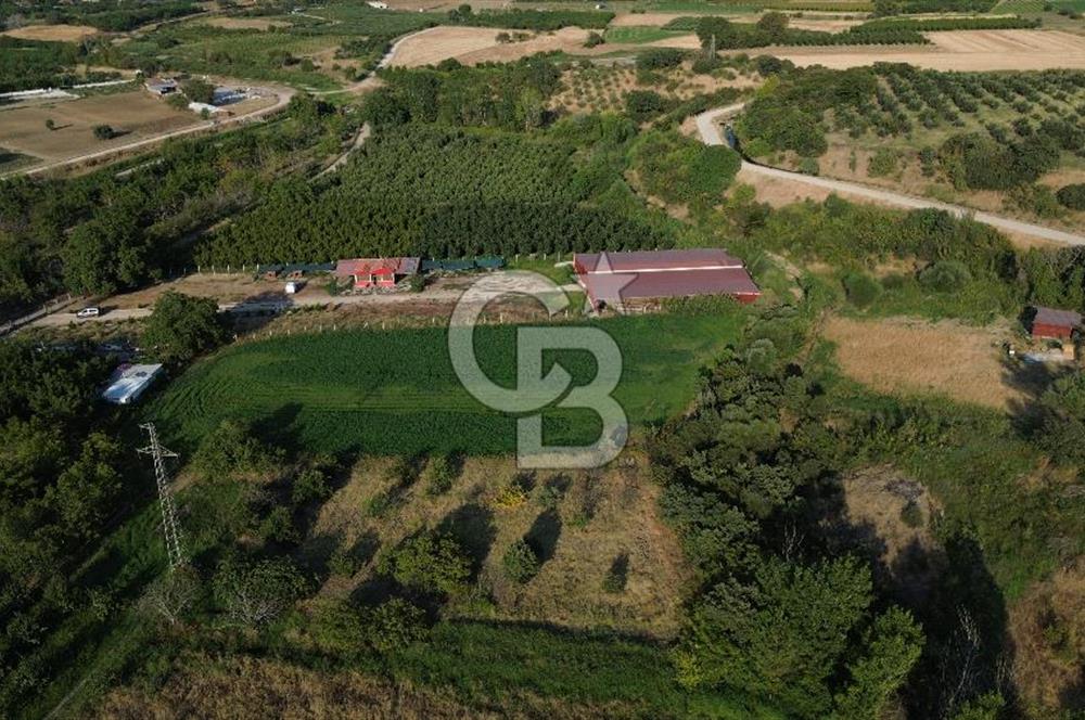 Çanakkale Merkez Saraycık Köyü Satılık 4.781 M² Arazi!