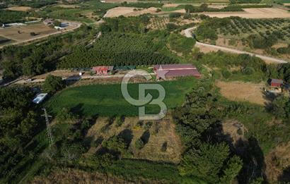 Çanakkale Merkez Saraycık Köyü Satılık 4.781 M² Arazi!