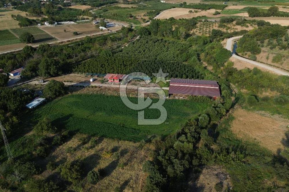 Çanakkale Merkez Saraycık Köyü Satılık 4.781 M² Arazi!