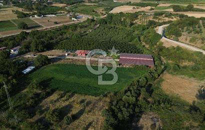 Çanakkale Merkez Saraycık Köyü Satılık 4.781 M² Arazi!