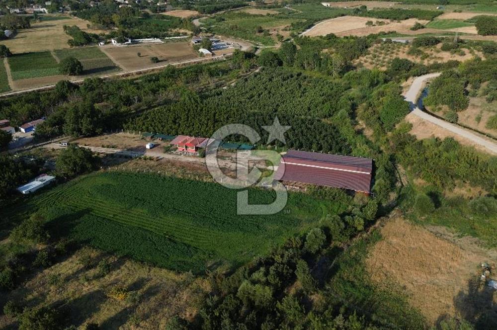Çanakkale Merkez Saraycık Köyü Satılık 4.781 M² Arazi!