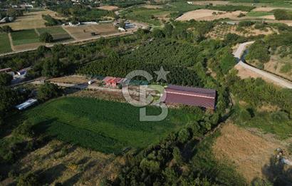 Çanakkale Merkez Saraycık Köyü Satılık 4.781 M² Arazi!