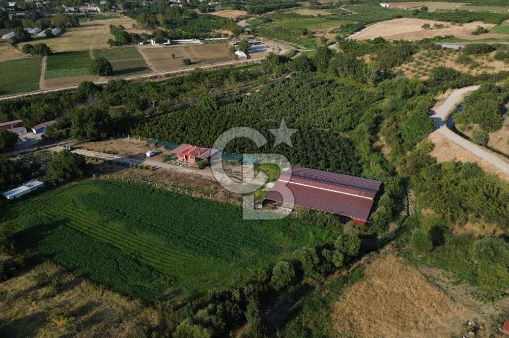Çanakkale Merkez Saraycık Köyü Satılık 4.781 M² Arazi!
