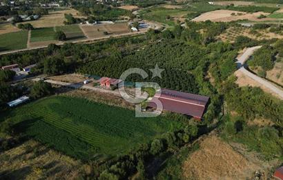 Çanakkale Merkez Saraycık Köyü Satılık 4.781 M² Arazi!