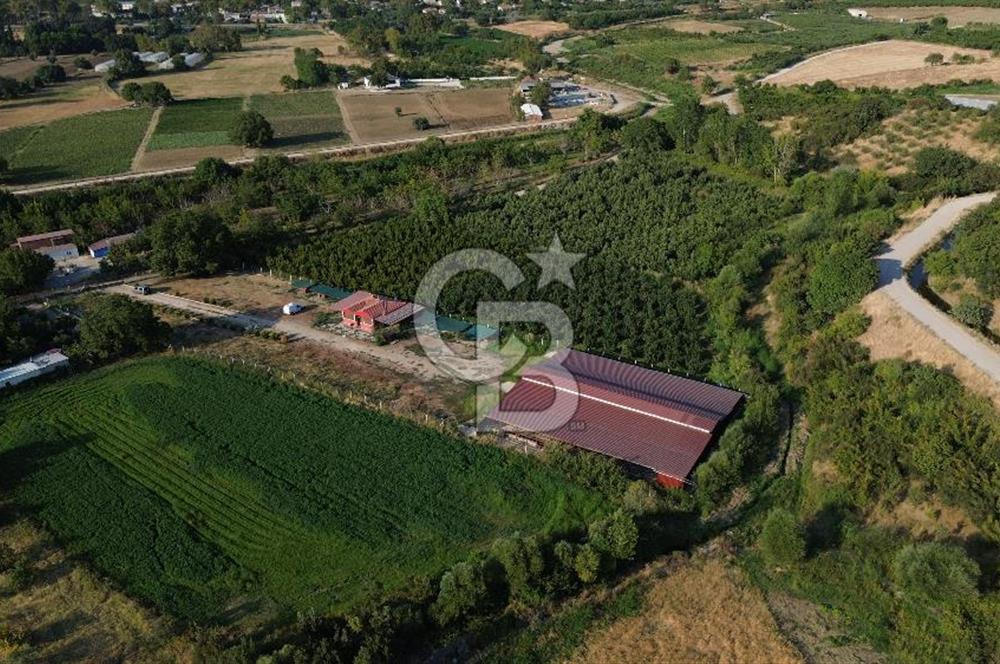 Çanakkale Merkez Saraycık Köyü Satılık 4.781 M² Arazi!
