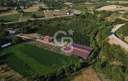 Çanakkale Merkez Saraycık Köyü Satılık 4.781 M² Arazi!