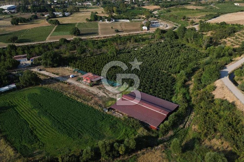 Çanakkale Merkez Saraycık Köyü Satılık 4.781 M² Arazi!