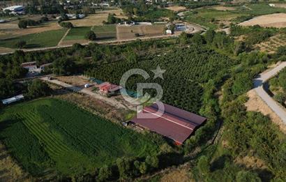 Çanakkale Merkez Saraycık Köyü Satılık 4.781 M² Arazi!