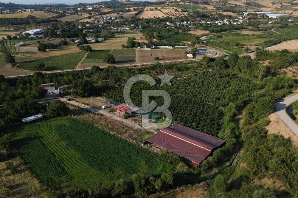 Çanakkale Merkez Saraycık Köyü Satılık 4.781 M² Arazi!