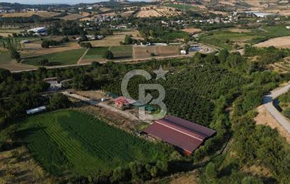 Çanakkale Merkez Saraycık Köyü Satılık 4.781 M² Arazi!